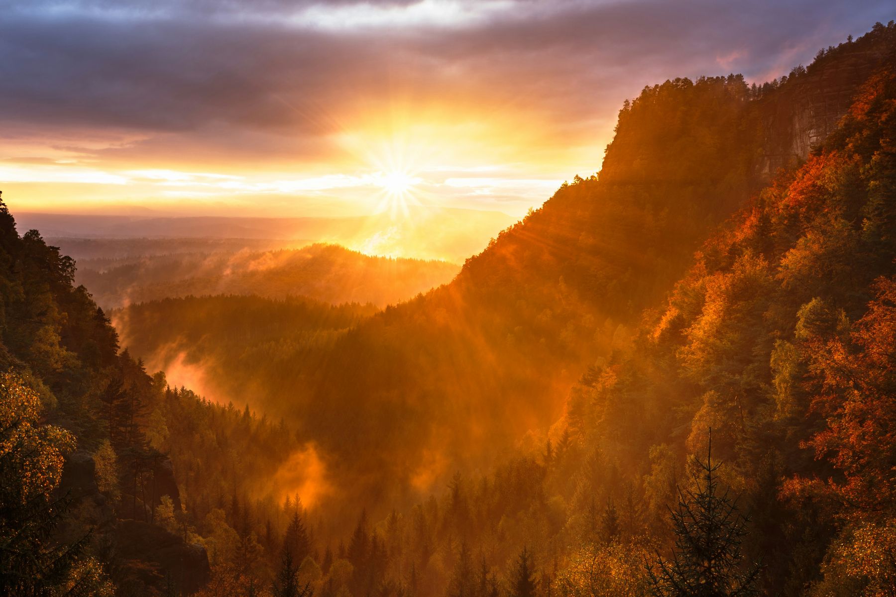 Izlazak sunca nad šumovitom dolinom